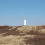 Bjergbovej Xi * Blåvand